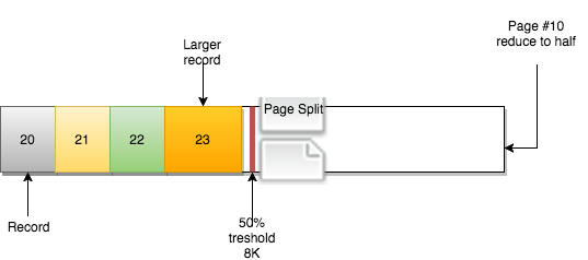 Locality_8